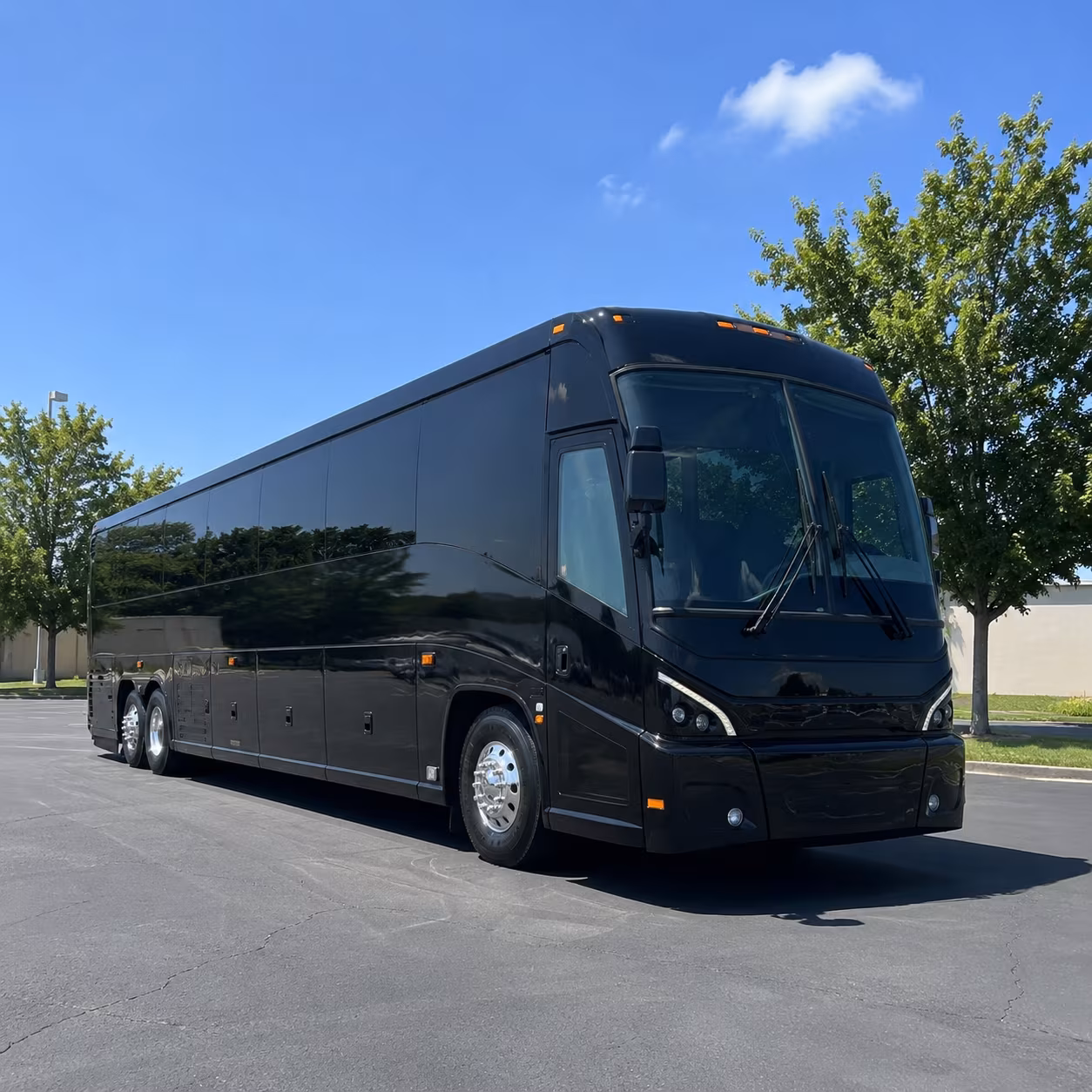 madera stress free school field trip charter bus rentals in madera