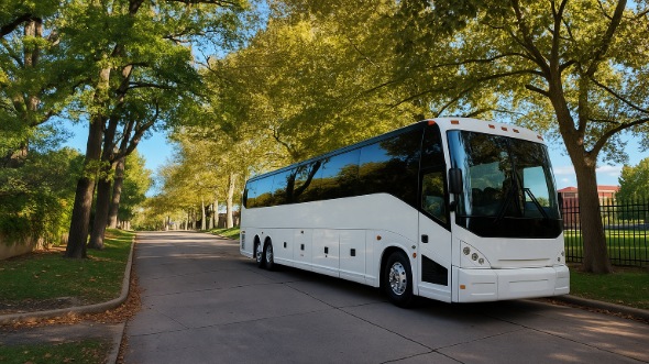los banos wedding transportation